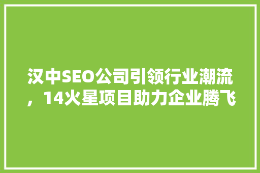 汉中SEO公司引领行业潮流，14火星项目助力企业腾飞
