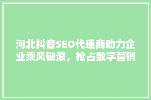 河北抖音SEO代理商助力企业乘风破浪，抢占数字营销新高地