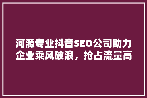 河源专业抖音SEO公司助力企业乘风破浪，抢占流量高地