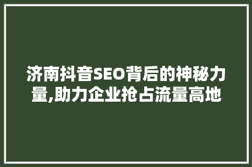 济南抖音SEO背后的神秘力量,助力企业抢占流量高地