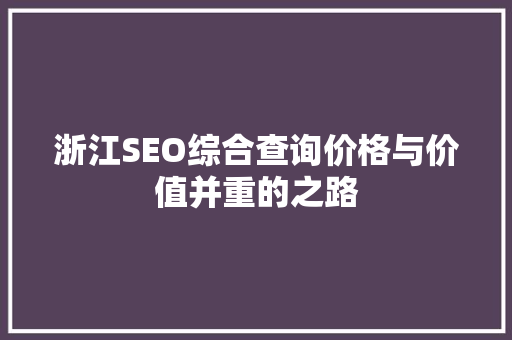 浙江SEO综合查询价格与价值并重的之路