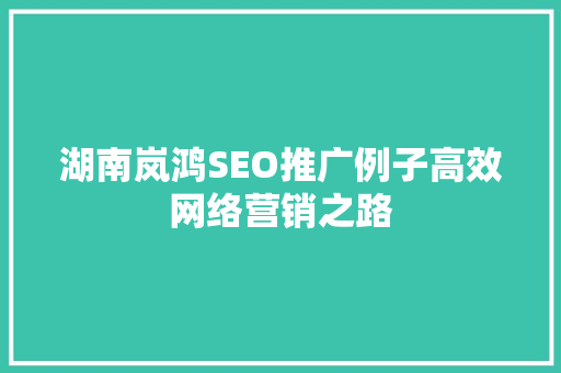 湖南岚鸿SEO推广例子高效网络营销之路