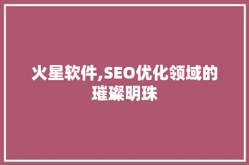 火星软件,SEO优化领域的璀璨明珠