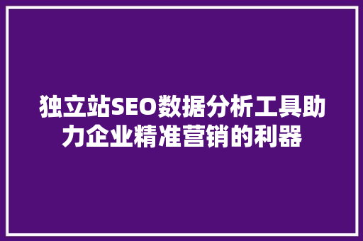 独立站SEO数据分析工具助力企业精准营销的利器
