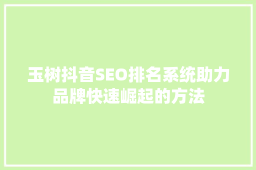 玉树抖音SEO排名系统助力品牌快速崛起的方法
