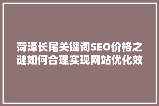 菏泽长尾关键词SEO价格之谜如何合理实现网站优化效果最大化  第1张