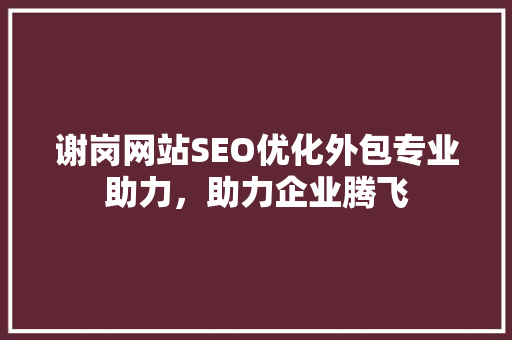 谢岗网站SEO优化外包专业助力，助力企业腾飞