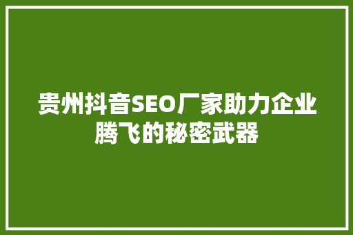 贵州抖音SEO厂家助力企业腾飞的秘密武器