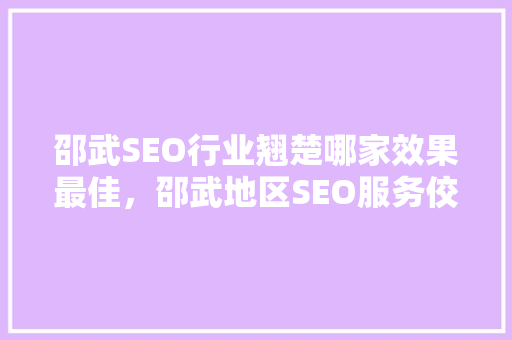 邵武SEO行业翘楚哪家效果最佳，邵武地区SEO服务佼佼者