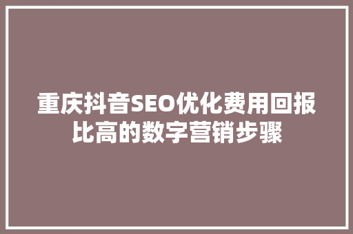 重庆抖音SEO优化费用回报比高的数字营销步骤