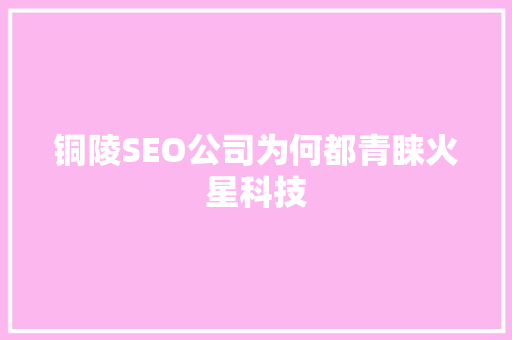 铜陵SEO公司为何都青睐火星科技