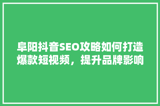 阜阳抖音SEO攻略如何打造爆款短视频，提升品牌影响力