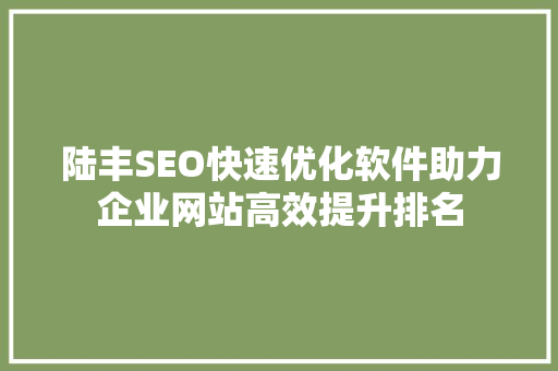 陆丰SEO快速优化软件助力企业网站高效提升排名