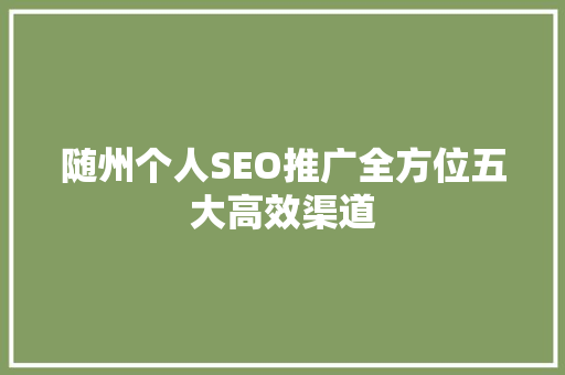 随州个人SEO推广全方位五大高效渠道