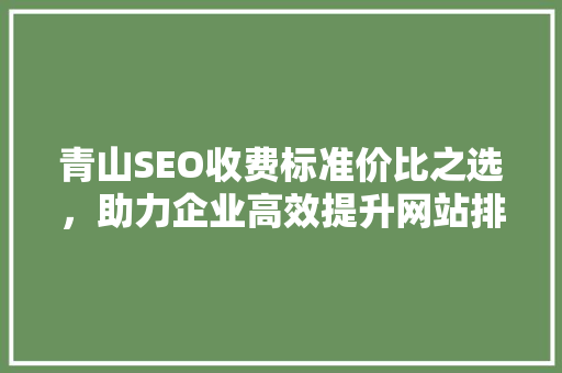 青山SEO收费标准价比之选，助力企业高效提升网站排名