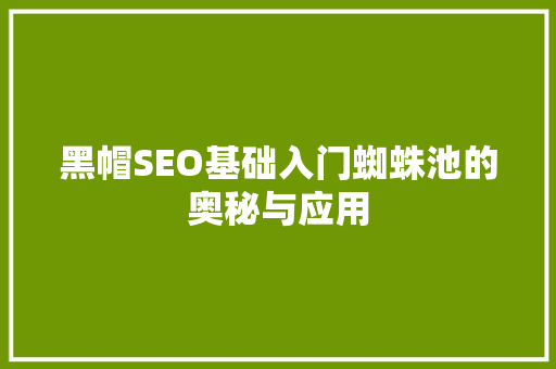 黑帽SEO基础入门蜘蛛池的奥秘与应用