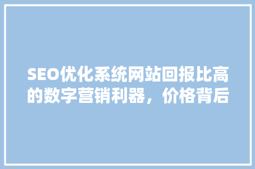 SEO优化系统网站回报比高的数字营销利器，价格背后的价值