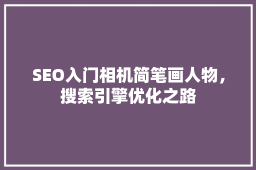 SEO入门相机简笔画人物，搜索引擎优化之路