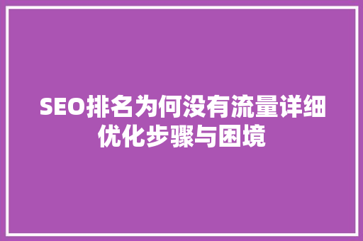 SEO排名为何没有流量详细优化步骤与困境
