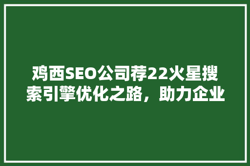 鸡西SEO公司荐22火星搜索引擎优化之路，助力企业腾飞