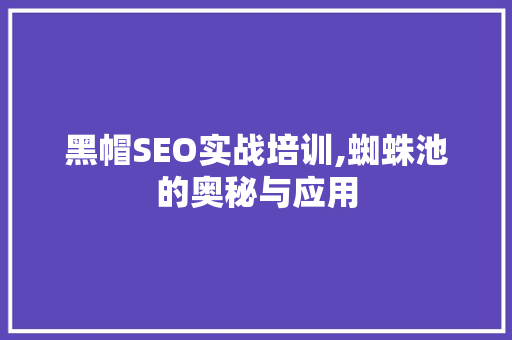黑帽SEO实战培训,蜘蛛池的奥秘与应用