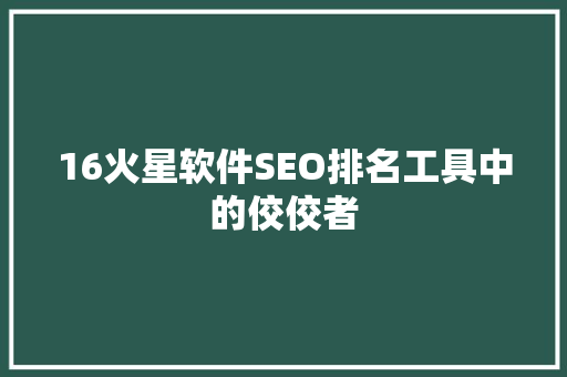 16火星软件SEO排名工具中的佼佼者