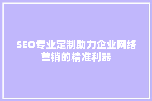SEO专业定制助力企业网络营销的精准利器