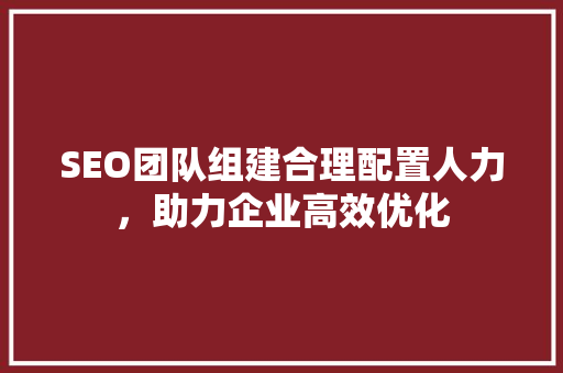 SEO团队组建合理配置人力，助力企业高效优化