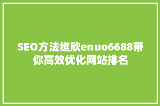 SEO方法维欣enuo6688带你高效优化网站排名