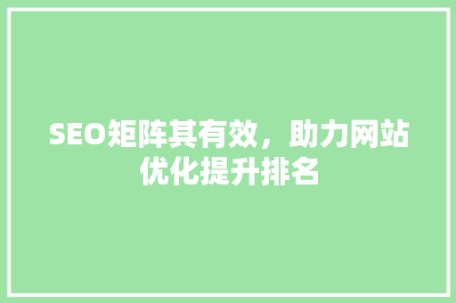 SEO矩阵其有效，助力网站优化提升排名