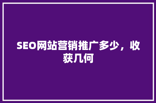 SEO网站营销推广多少，收获几何