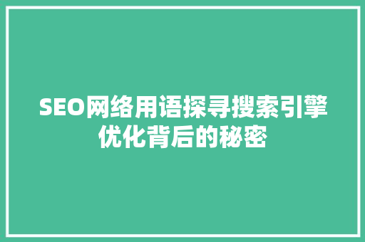SEO网络用语探寻搜索引擎优化背后的秘密