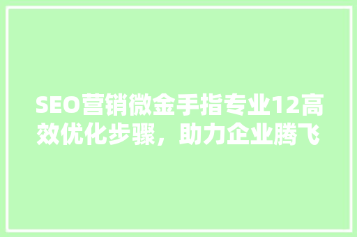 SEO营销微金手指专业12高效优化步骤，助力企业腾飞
