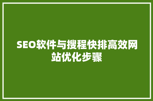SEO软件与搜程快排高效网站优化步骤