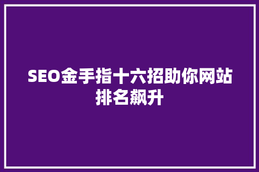 SEO金手指十六招助你网站排名飙升