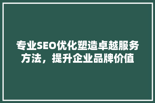 专业SEO优化塑造卓越服务方法，提升企业品牌价值