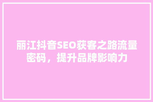 丽江抖音SEO获客之路流量密码，提升品牌影响力