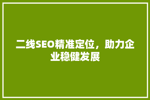 二线SEO精准定位，助力企业稳健发展