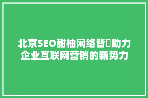 北京SEO甜柚网络皆暀助力企业互联网营销的新势力