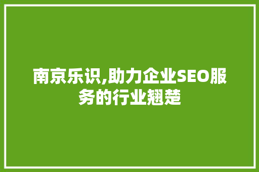 南京乐识,助力企业SEO服务的行业翘楚