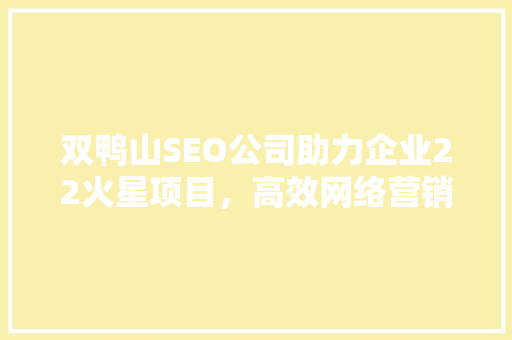 双鸭山SEO公司助力企业22火星项目，高效网络营销之路