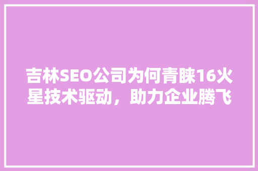 吉林SEO公司为何青睐16火星技术驱动，助力企业腾飞