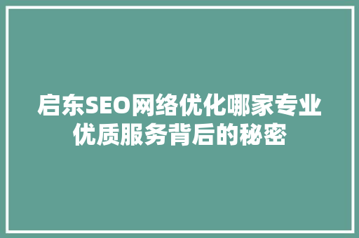 启东SEO网络优化哪家专业优质服务背后的秘密