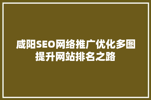 咸阳SEO网络推广优化多图提升网站排名之路