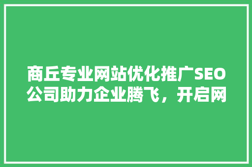 商丘专业网站优化推广SEO公司助力企业腾飞，开启网络营销新篇章