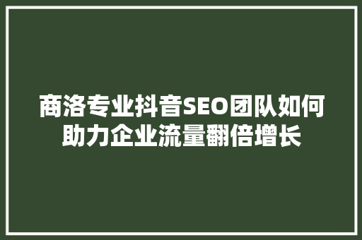 商洛专业抖音SEO团队如何助力企业流量翻倍增长