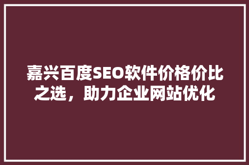 嘉兴百度SEO软件价格价比之选，助力企业网站优化