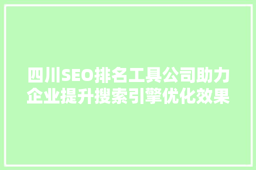 四川SEO排名工具公司助力企业提升搜索引擎优化效果的得力助手