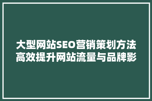 大型网站SEO营销策划方法高效提升网站流量与品牌影响力