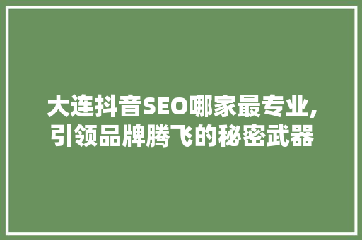 大连抖音SEO哪家最专业,引领品牌腾飞的秘密武器